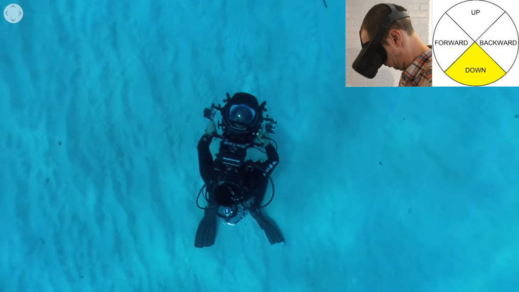 Audio Description: You descend to the ocean floor. Another diver aims a video camera at gray-green nurse sharks on the bottom.